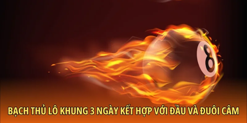 Bạch thủ lô khung 3 ngày kết hợp với đầu và đuôi câm