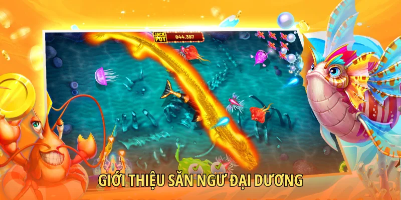 Giới thiệu săn ngư đại dương