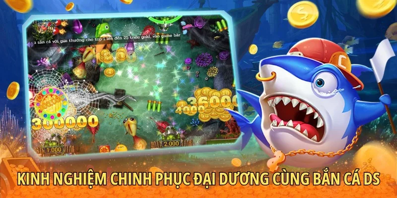 Bí kíp chinh phục mọi map đại dương
