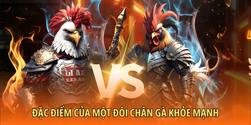 Cách nuôi gà chân mạnh có đặc điểm gì?