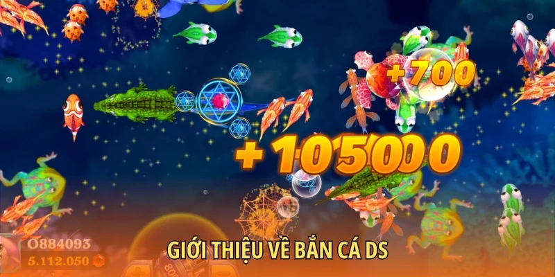Đôi điều xoay quanh bắn cá DS hot hit