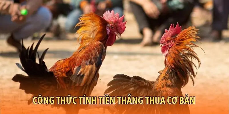 Công thức tính tiền thắng thua cơ bản
