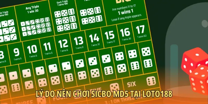 Lý do nên chơi Sicbo MD5 tại Loto188