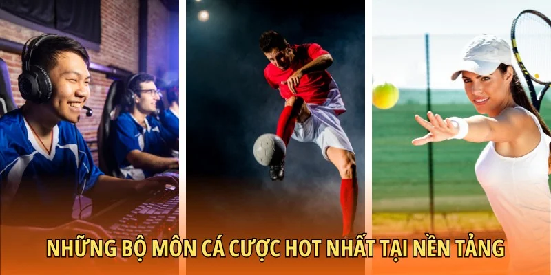 Những bộ môn cá cược hot nhất tại nền tảng