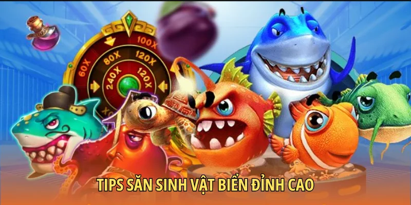 Tips săn sinh vật biển đỉnh cao